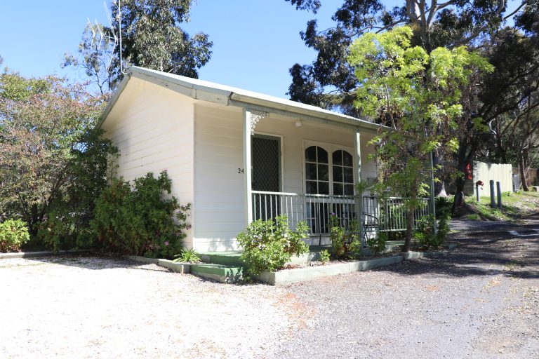 CABIN 24 1